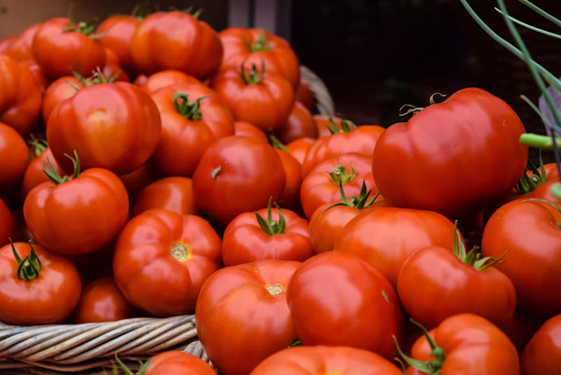 Tomate Italiano (kg)